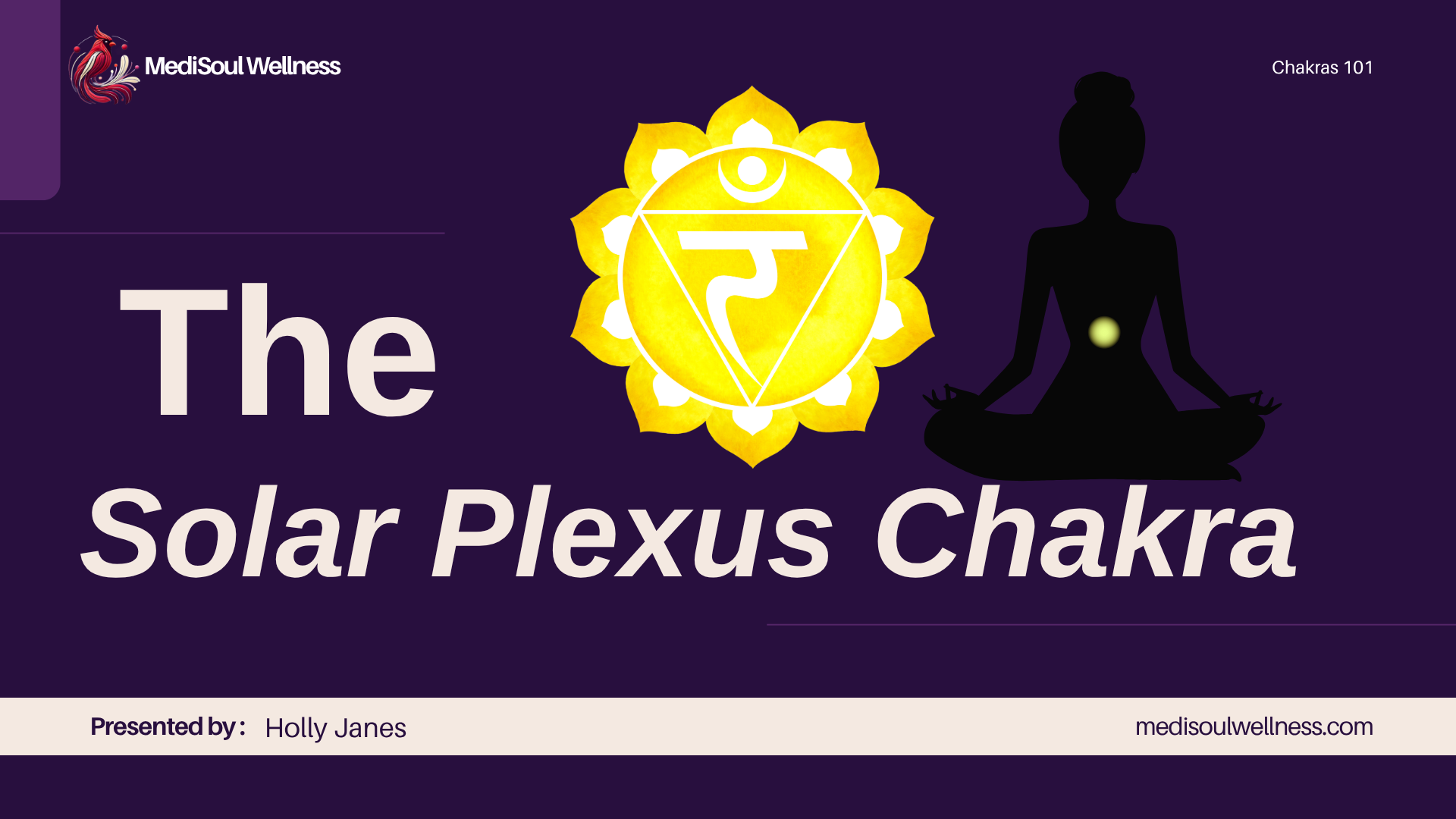 The Solar Plexus Chakra Chakras 101